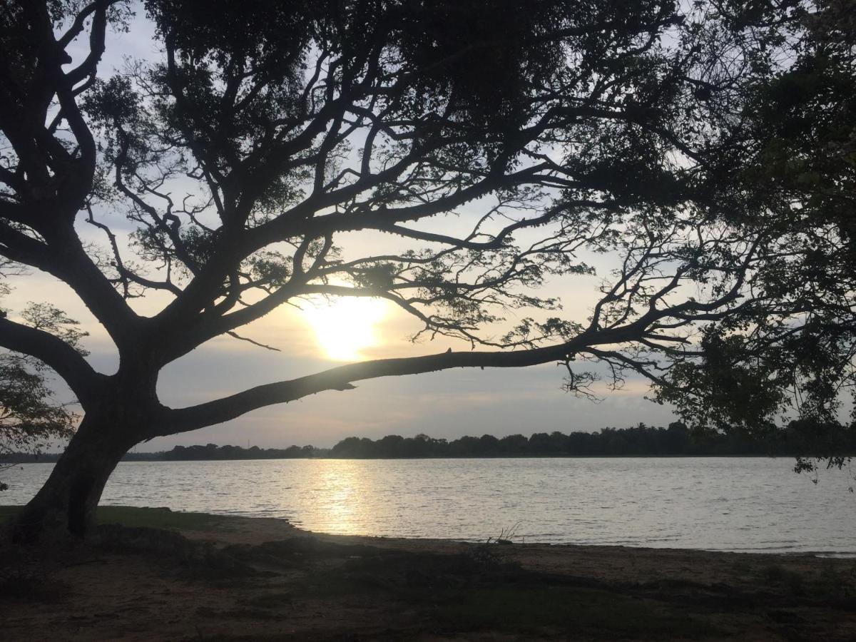 טיסמהרמה Saffron Lake Yala מראה חיצוני תמונה